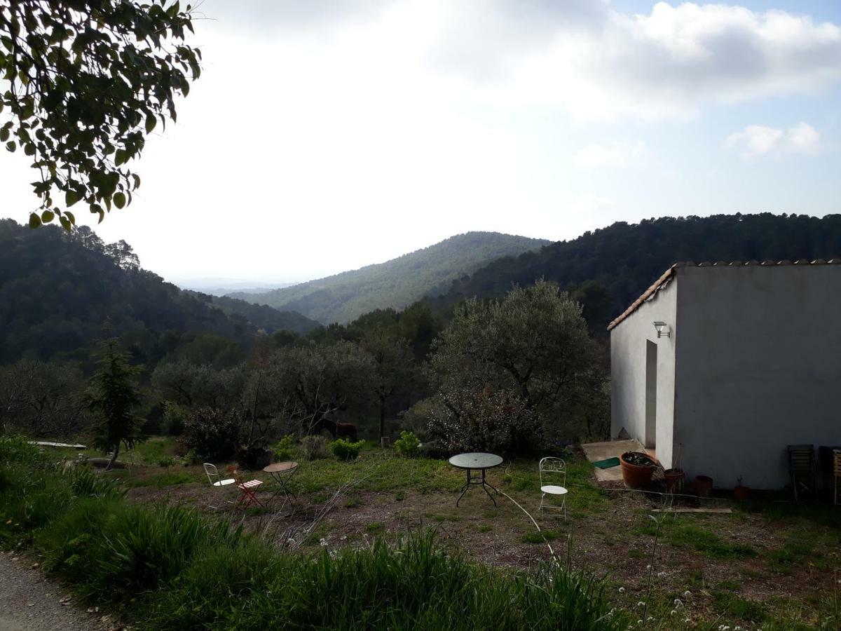 Maison De Campagne L'Etang Seillans Exterior photo